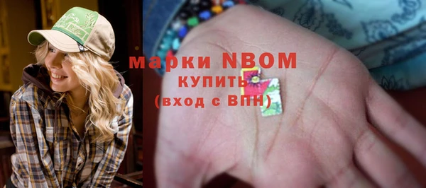 бошки Белокуриха