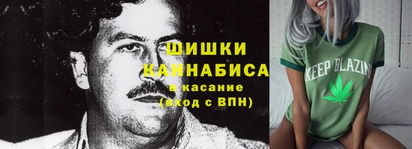 бошки Белокуриха