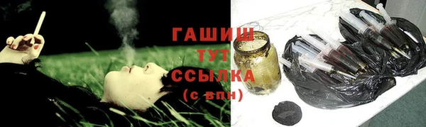 бошки Белокуриха