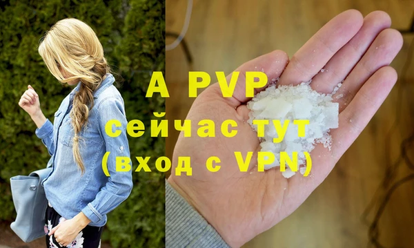 бошки Белокуриха