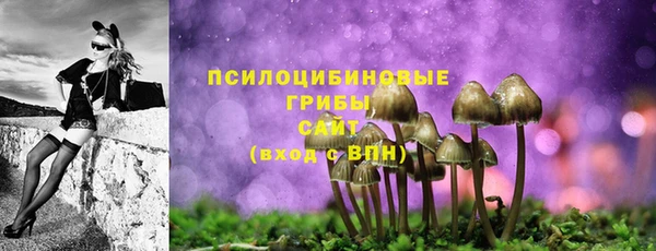 бошки Белокуриха