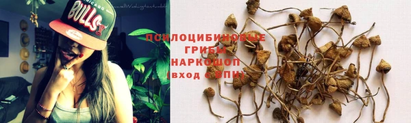 кокс Беломорск
