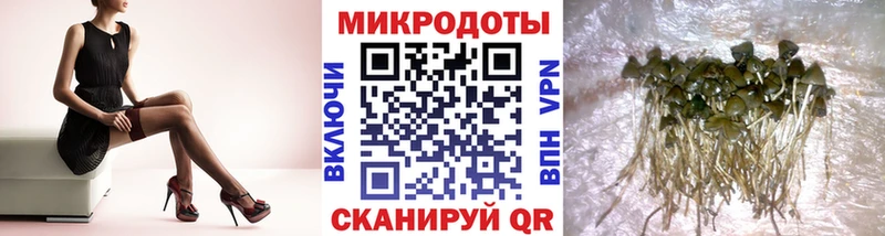 Купить где  Лысьва  Псилоцибиновые грибы MAGIC MUSHROOMS 